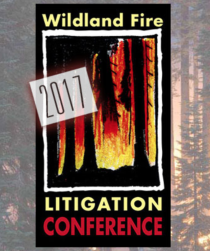 Wildland fire logo