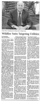 Craig Simon Wild Fires daily journal clipping